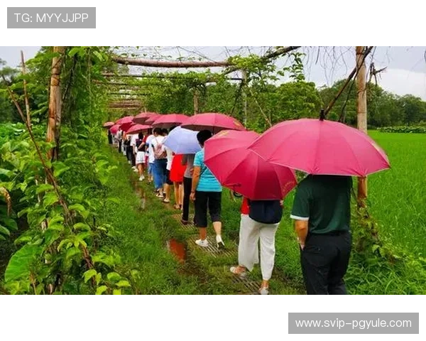 凯发真人版会员注册流程详解助你轻松开启线上娱乐新体验