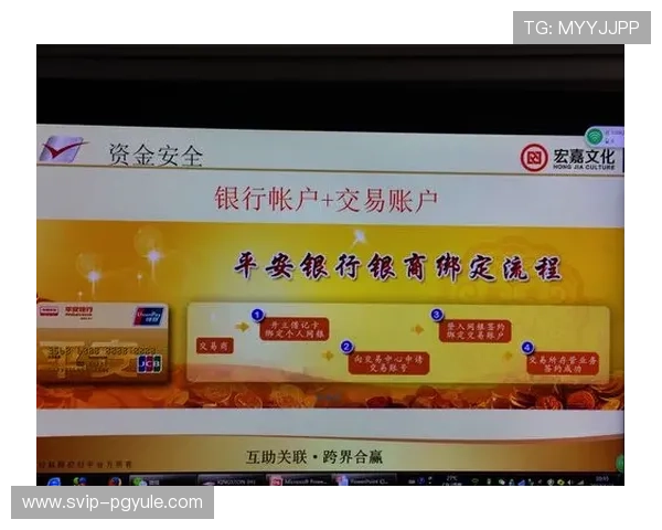 掌握ag金龙珠会员登录技巧，提升游戏体验与账户安全保障措施