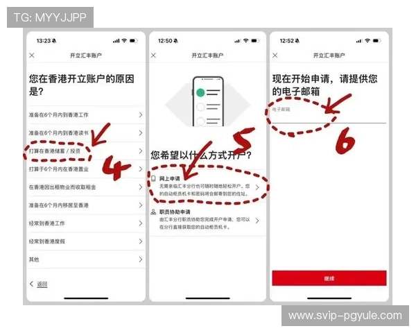 真人在线开户步骤详解，解决新手玩家的注册难题与疑问